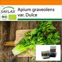 SAFLAX Sodas maiše - Ekologiškas - Salieras Pascal - 500 sėklų - Su substratu tinkamame stovinčiame maiše - Apium graveolens