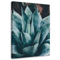Canvas print Succulent Flower Leaves 40x60 žalia