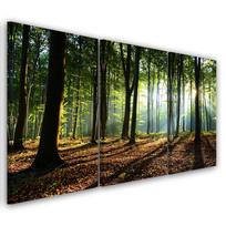 Trijų dalių paveikslų spausdinimas ant drobės Miško žalia gamta 60x40 žalia