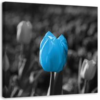 Canvas print Tulip Flowers Blue Grey 30x30 mėlyna