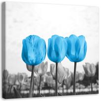 Canvas print Flowers Tulips Nature Blue 30x30 mėlyna