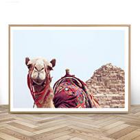Wall Posters Animal Pictures On Loft Canvas Camel Art Prints for Room Design Paintings for Interior Frameless Home Decor 21*30cm