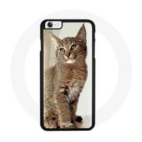 Coque iphone SE Siamois Chat
