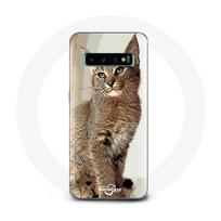 Coque pour Samsung Galaxy S10 Siamois Race de chats