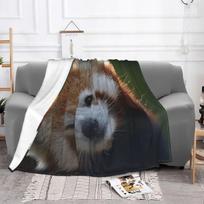 Red Panda Big Cat Blankets Fleece Decoration Cute Animal Multifunction Soft Throw Blankets for Home Travel Bedspread 75x100cm 30x40in