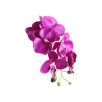 Dirbtinio drugelio orchidėjų šilko gėlių namų vestuvių dekoro Phalaenopsis puokštė tamsiai violetine spalva