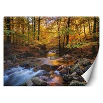 Tapetai Miško upės kraštovaizdis 100x70 oranžinė