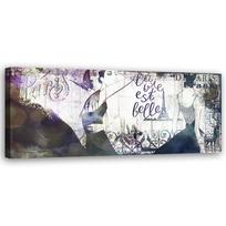 Canvas print, Collage France Female 90x30 pilka spalva