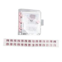 1000 Savings Challenge Binder Multipurpose PVC Reusable Mini Budget Binder with Sticker for Money rožinė