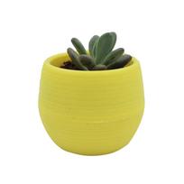 Succulent Pot Mini Seedling Flower Container Plastic Flower Pot for Garden Courtyard BalconyYellow geltona
