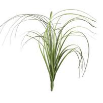 Puiki dirbtinio šilko gėlė, atspari UV spinduliams, neblunkanti spalva, plačiai pritaikoma, pagaminta MIT 35cm tamsiai žalia spalva