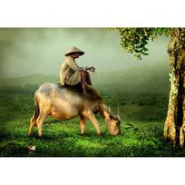 5D DIY Diamond Painting Shepherd Boy and Cow Embroidery Mosaic Cross Stitch Rhinestone Decor 20X30CM