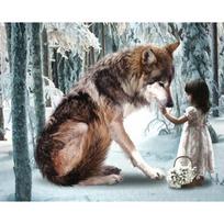 Visas 5D „pasidaryk pats“ deimantinis paveikslas animacinis filmas „Vaikas ir vilkas“ siuvinėjimas kryželiu namų dekoras, rankų darbo dovana 25x30cm gray