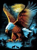 „Pasidaryk pats“ deimantinis paveikslas „Eagle“ deimantinis siuvinėjimas animacinis filmas „Deimantinis kryželiu“ paveikslėlis 20X30CM white