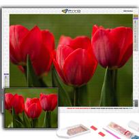 Popular 5D Diy Cross Stitch Flowers Tulips Painting Full Drill Cross-Stitch Crafts Kit Wall Sticker Home Decor Full Round 20X30CM red