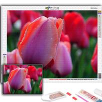 5D Diy Diamond Painting Flowers Tulips Cross Stitch Full Diamond Embroidery Mosaic Full Round 20X30CM red