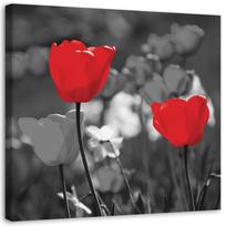 Canvas print, Red tulips on a grey background 30x30 raudona