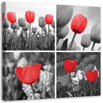 Canvas print, Red tulips flowers collage 30x30 raudona