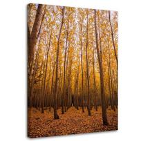 Spaudinys ant drobės Beržo miško lapai geltoni 40x60 ruda