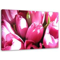 Spaudinys ant drobės Tulpes Pink Flower 60x40 rožinė