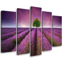 Penkių dalių paveikslo drobės spaudinys Gėlių pieva levandų kraštovaizdis 100x70 violetinė