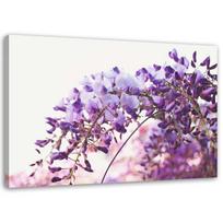 Spaudinys ant drobės Glycine Flowers Nature 60x40 violetinė