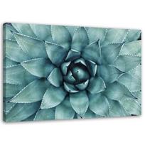 Canvas print Aloe Vera Plant Flower 60x40 žalia