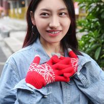 Snowflake Christmas Gloves Finger Touch Screen Gloves Knitted Gloves Warm Gloves Outdoor Cycling Gloves one size tamsiai mėlyna spalva