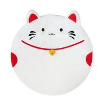 Removable and Washable Winter Mat for Cat Sleeping  Kitten Pet Floor Mat  Small Dog Dog Mattress  Cat Nest Bite-resistant 40*40*6 cm