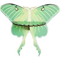 Wall Shelf Display Shelf Butterfly Shelf Storage Rack Wooden Green Butterfly Hanging Stones Candle Necklace Hanging Holder Interior Wall Decor Shelf žalia