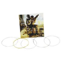 IRIN BJ12 Five-String Banjo Strings, Stainless Steel with Silk Bronze Wound bronza/sidabras