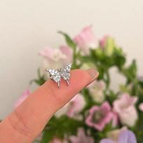 2025 Micro-Inlaid Zircon Butterfly Forest Earrings & Ear Clips - Simple, Compact Design