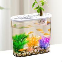 Stalinis akvariumas akvascape konteineris lengvas stiklainis terariumas mini žuvų akvariumas namams terrapin White Lid beige
