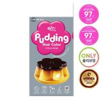 Easy N Pudding Hair Color 4.1BB Ash Gray