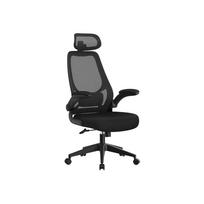 Biuro kėdė, kompiuterio kėdė, ergonomiška kėdė,