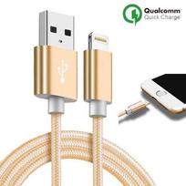 Câble pour iPhone - Nylon Doré - 1M - Compatible avec iPhone 5 à 11 Pro Max - USB