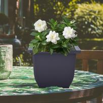 Bonsai Flower Pot, Nursery Pot for Shelf, Yard, Garden, Balcony, Patio M Square