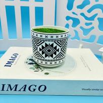 Plastic Flowerpots Are Used for Household Garden Bonsai and Outdoor Courtyard Decoration