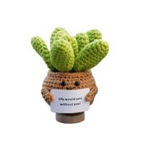 Handmade Crochet Cactus Doll - Knitted Succulent Ornament with Encouraging Card chaki