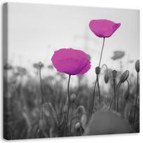 Canvas print Purple Poppies Field 30x30 violetinė