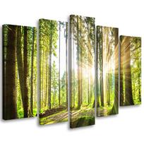 Penkių dalių paveikslų spausdinimas ant drobės Forest Trees Nature 100x70 žalia
