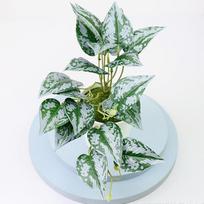 For Shops Bonsai For Weddings Parties Plastic Beautiful H