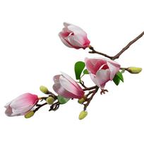 Patraukli magnolijos orchidėja dirbtinė gėlė namų ir biuro dekoravimui rožinė