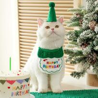 Dog Birthday Bandana Small Dog Birthday Hat Pet Happy Birthday Supplies Puppy Party Accessories Cat Accessories Pet Decoration oranžinė