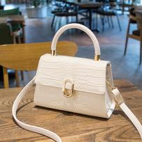 Moteriškas krepšys Naujas Crossbody Bag Rankinis mažas kvadratinis krepšys Madingas krepšys per petį 24x8x14cm violetinė