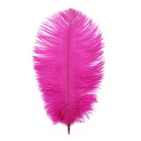 Gražios stručio plunksnos, skirtos „pasidaryk pats“ papuošalams gaminti Vestuvių dekoro priedai Vestuvių dekoravimui 15-20cm 10pcs fuksija