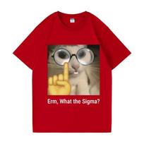 Erm, what Sigma? Funny Meme T-shirt For Unisex Women Silly Cat Humor Printed Fashion Tops  O-Neck S