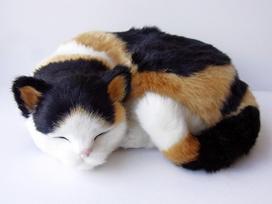 Ninian & Kino Perfect Pet (Large Size) Calico Cat Plush Toy - Realistic, Lifelike, Calico Cat, Animal Toy, Cute, Moving, Gift, Present, Celebration,