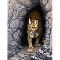 Frameless Tigers Animal DIY Painting Coloring Oil Painting On Canvas Drawing Wall Art Picture 20X30CM black