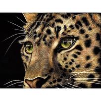 Deimantinis paveikslas kryželiu Siuvinėjimas nuožmus leopardinis deimantinis mozaikos gyvūnų siuvinėjimas 20X30CM brown